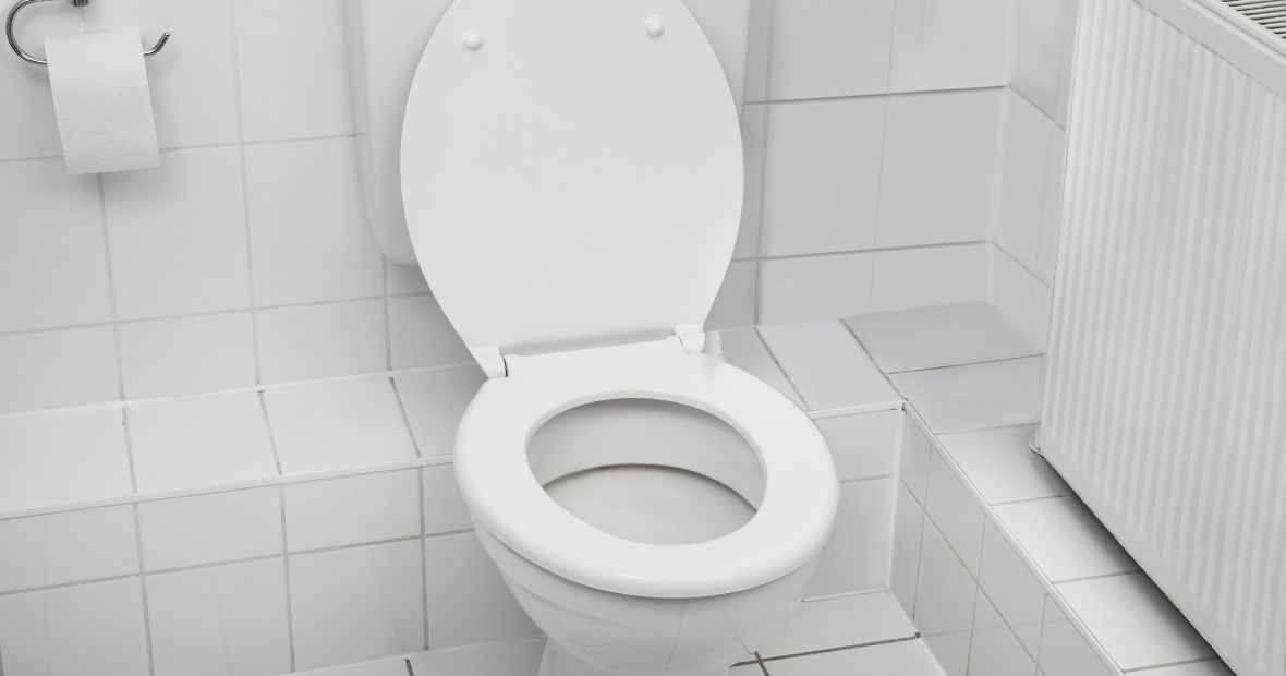 wester toilet seat